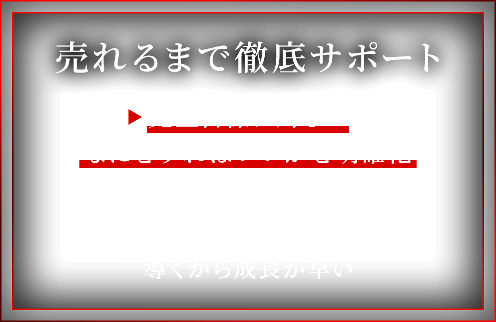 売れるまで徹底サポート 売上目標に対してなにをすればいいかを明確化 「とりあえずやってみよう」ではなく、「このやり方でやってみたらOK」と導くから成長が早い